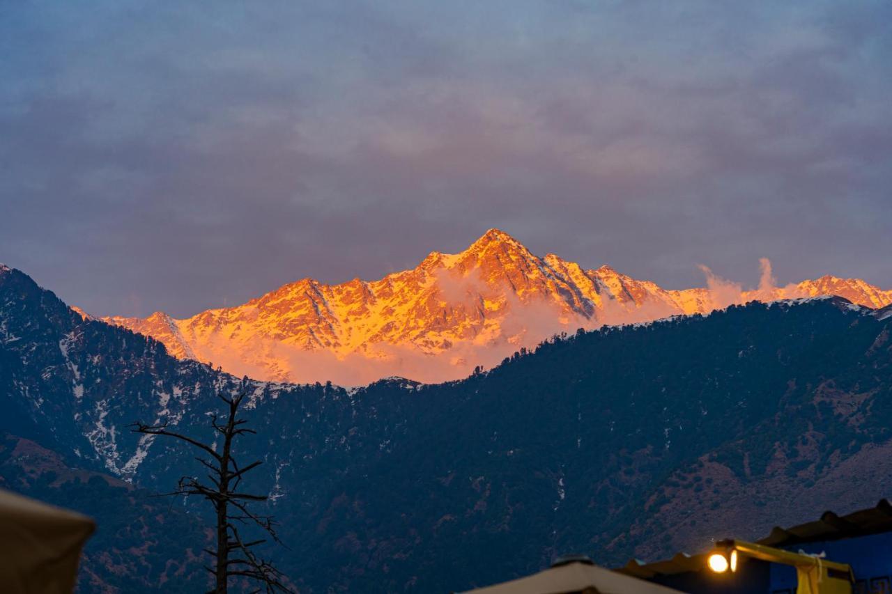 The Hosteller Mcleodganj, Mall Road McLeod Ganj Ngoại thất bức ảnh